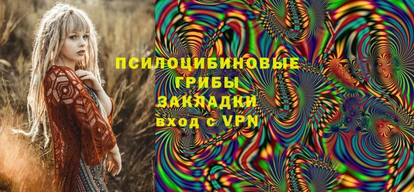 гидра Дмитриев