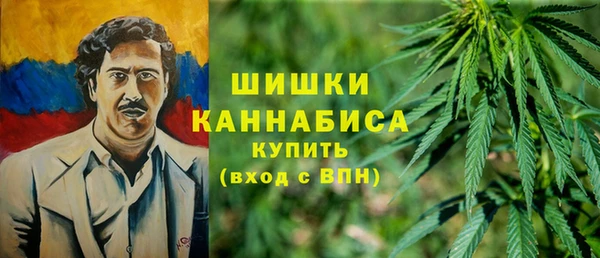 гидра Дмитриев